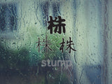Stump Style 01 Kanji Symbol Character  - Car or Wall Decal - Fusion Decals