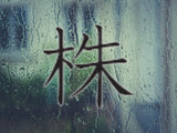 Stump Style 05 Kanji Symbol Character  - Car or Wall Decal - Fusion Decals
