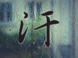 Sweat Style 04 Kanji Symbol Character  - Car or Wall Decal - Fusion Decals
