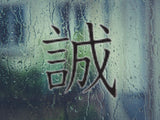 Truth Style 05 Kanji Symbol Character  - Car or Wall Decal - Fusion Decals