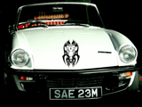 Animal TBD Style 1 Vinyl Wall Car Window Decal - Fusion Decals