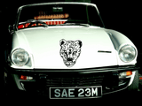 Animal TBD Style 57 Vinyl Wall Car Window Decal - Fusion Decals