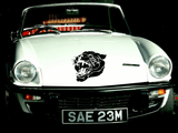 Animal TBD Style 65 Vinyl Wall Car Window Decal - Fusion Decals