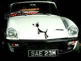 Animal TBD Style 74 Vinyl Wall Car Window Decal - Fusion Decals