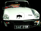 Animal TBD Style 81 Vinyl Wall Car Window Decal - Fusion Decals