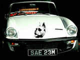 Animal TBD Style 98 Vinyl Wall Car Window Decal - Fusion Decals
