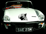 Animal TBD Style 99 Vinyl Wall Car Window Decal - Fusion Decals
