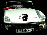Animal TBD Style 100 Vinyl Wall Car Window Decal - Fusion Decals