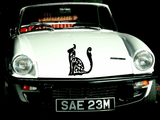 Animal TBD Style 101 Vinyl Wall Car Window Decal - Fusion Decals