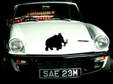 Animal TBD Style 108 Vinyl Wall Car Window Decal - Fusion Decals