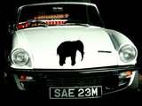 Animal TBD Style 109 Vinyl Wall Car Window Decal - Fusion Decals