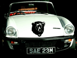 Animal TBD Style 114 Vinyl Wall Car Window Decal - Fusion Decals