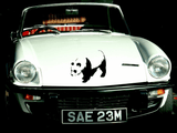 Animal TBD Style 123 Vinyl Wall Car Window Decal - Fusion Decals