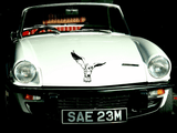 Animal TBD Style 132 Vinyl Wall Car Window Decal - Fusion Decals