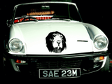 Animal TBD Style 137 Vinyl Wall Car Window Decal - Fusion Decals