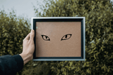 Animal TBD Style 156 Vinyl Wall Car Window Decal - Fusion Decals