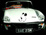 Animal TBD Style 163 Vinyl Wall Car Window Decal - Fusion Decals