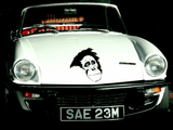 Animal TBD Style 164 Vinyl Wall Car Window Decal - Fusion Decals