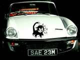 Animal TBD Style 177 Vinyl Wall Car Window Decal - Fusion Decals