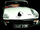Animal TBD Style 178 Vinyl Wall Car Window Decal - Fusion Decals