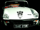 Animal TBD Style 183 Vinyl Wall Car Window Decal - Fusion Decals