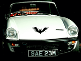 Animal TBD Style 188 Vinyl Wall Car Window Decal - Fusion Decals
