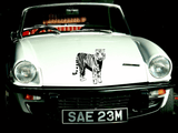 Animal TBD Style 190 Vinyl Wall Car Window Decal - Fusion Decals