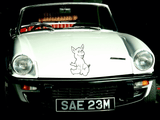 Animal TBD Style 192 Vinyl Wall Car Window Decal - Fusion Decals