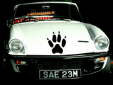 Animal TBD Style 200 Vinyl Wall Car Window Decal - Fusion Decals