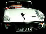 Animal TBD Style 208 Vinyl Wall Car Window Decal - Fusion Decals