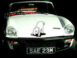 Animal TBD Style 216 Vinyl Wall Car Window Decal - Fusion Decals