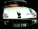 Animal TBD Style 221 Vinyl Wall Car Window Decal - Fusion Decals