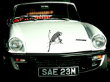 Animal TBD Style 223 Vinyl Wall Car Window Decal - Fusion Decals