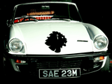 Animal TBD Style 224 Vinyl Wall Car Window Decal - Fusion Decals