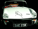 Animal TBD Style 226 Vinyl Wall Car Window Decal - Fusion Decals
