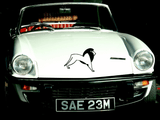 Animal TBD Style 228 Vinyl Wall Car Window Decal - Fusion Decals