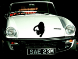 Animal TBD Style 231 Vinyl Wall Car Window Decal - Fusion Decals