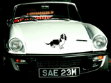 Animal TBD Style 235 Vinyl Wall Car Window Decal - Fusion Decals
