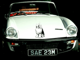 Animal TBD Style 242 Vinyl Wall Car Window Decal - Fusion Decals