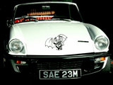 Animal TBD Style 245 Vinyl Wall Car Window Decal - Fusion Decals