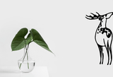 Animal TBD Style 250 Vinyl Wall Car Window Decal - Fusion Decals