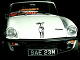 Animal TBD Style 250 Vinyl Wall Car Window Decal - Fusion Decals