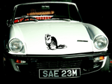 Animal TBD Style 258 Vinyl Wall Car Window Decal - Fusion Decals