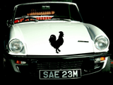 Animal TBD Style 264 Vinyl Wall Car Window Decal - Fusion Decals