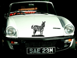 Animal TBD Style 265 Vinyl Wall Car Window Decal - Fusion Decals