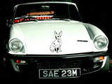 Animal TBD Style 267 Vinyl Wall Car Window Decal - Fusion Decals