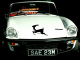 Animal TBD Style 286 Vinyl Wall Car Window Decal - Fusion Decals