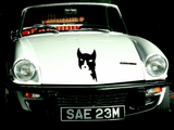 Animal TBD Style 287 Vinyl Wall Car Window Decal - Fusion Decals