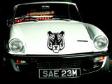 Animal TBD Style 302 Vinyl Wall Car Window Decal - Fusion Decals
