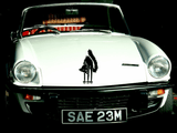 Animal TBD Style 320 Vinyl Wall Car Window Decal - Fusion Decals